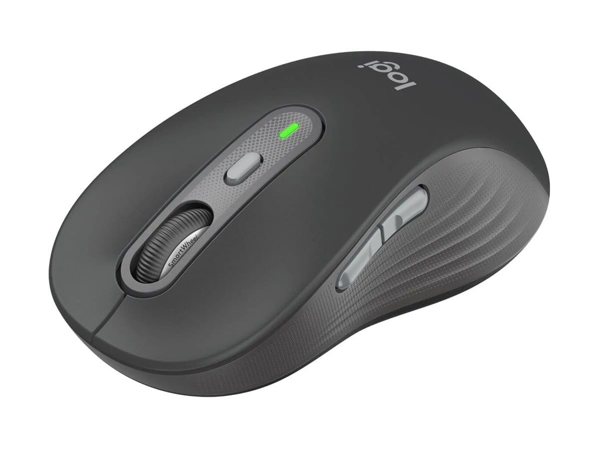 Logitech Signature M750 L (Graphite)